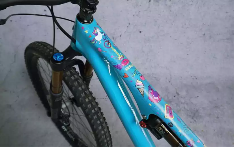 Dyedbro Kit Voor Bescherming Van Het Frame - Eenhoorn - Afbeelding 2