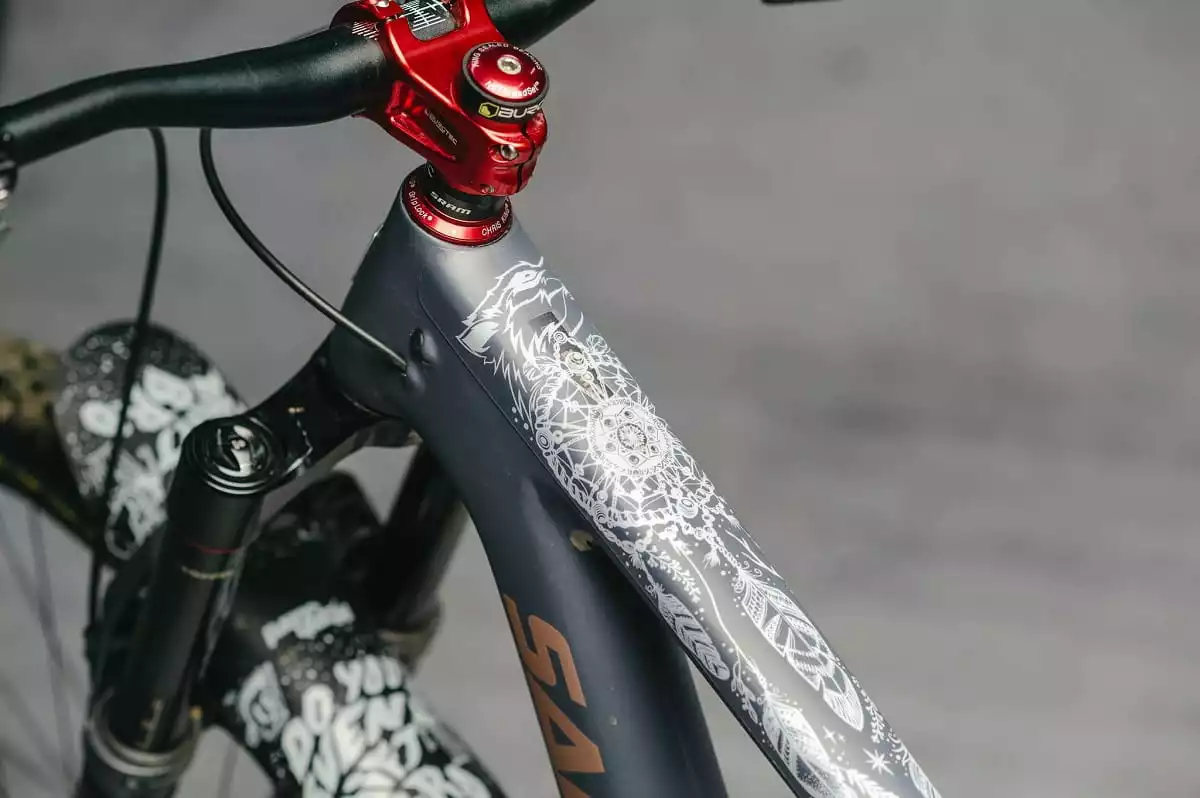 Dyedbro Frame Beschermingsset Dream Catcher - Wit Mat - Afbeelding 2