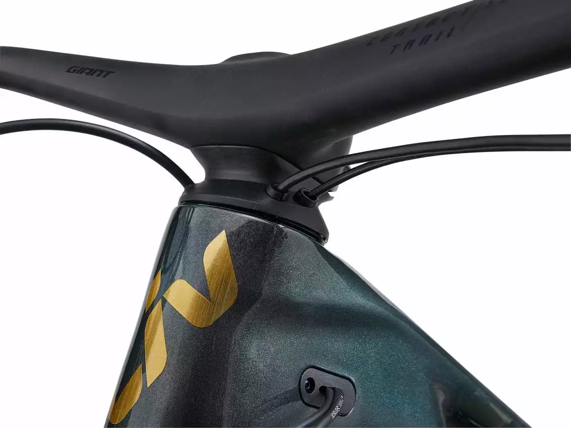 Liv Intrigue X Advanced E+ EL 1 - Airglow/Zwart - Afbeelding 10