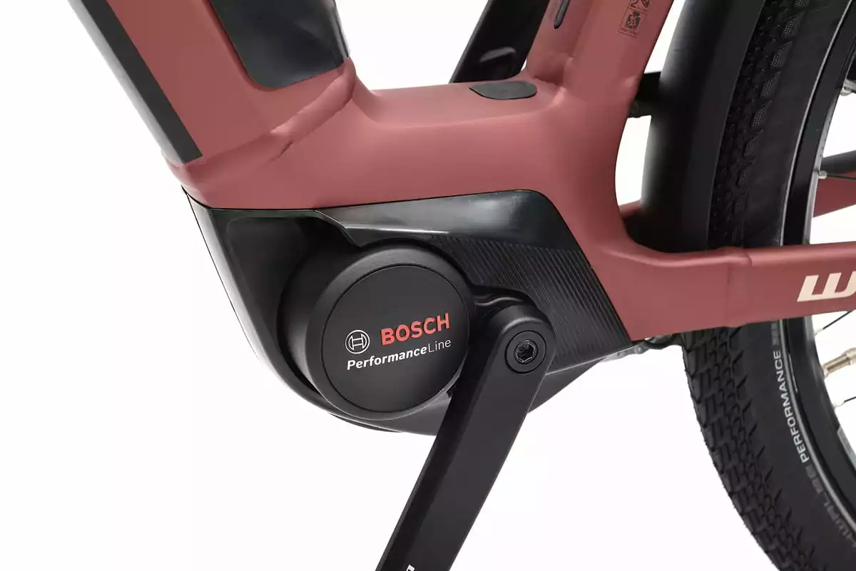 Winora Sinus N5 Lage Instap - Maroonred Matt - Afbeelding 3